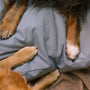 Close-up of dog paws resting on a Lake-colored non-toxic Woolly Hound dog bed