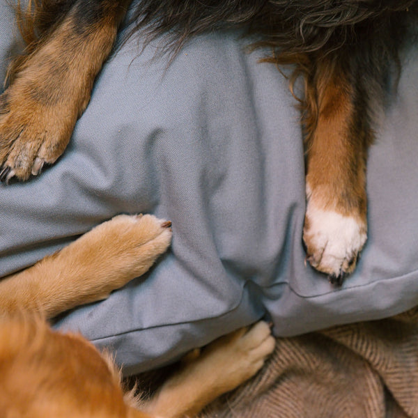 Close-up of a dog's paws resting on the Lake Classic Bed.