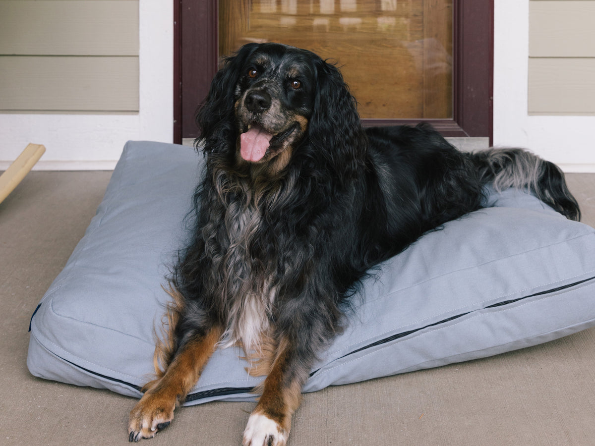 Smiling dog relaxing on the Lake Classic Bed by The Woolly Hound on a cozy patio.