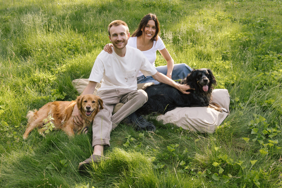 The founders of The Woolly Hound sitting with their dogs on Classic Beds in a grassy field.