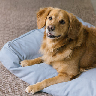 Golden Retriever enjoying The Woolly Hound Classic Bed outdoors on a patio.